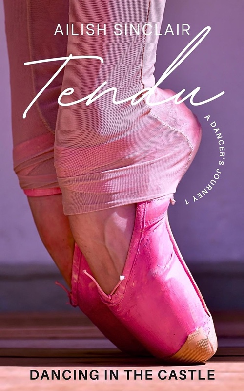 Cover of Tendu by Ailish Sinclair